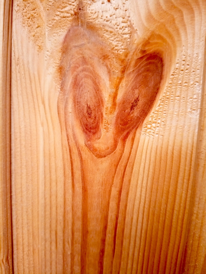 ������������ �����