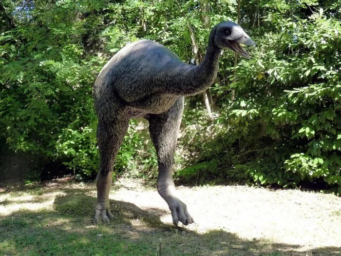  ,   ,       .         .        .