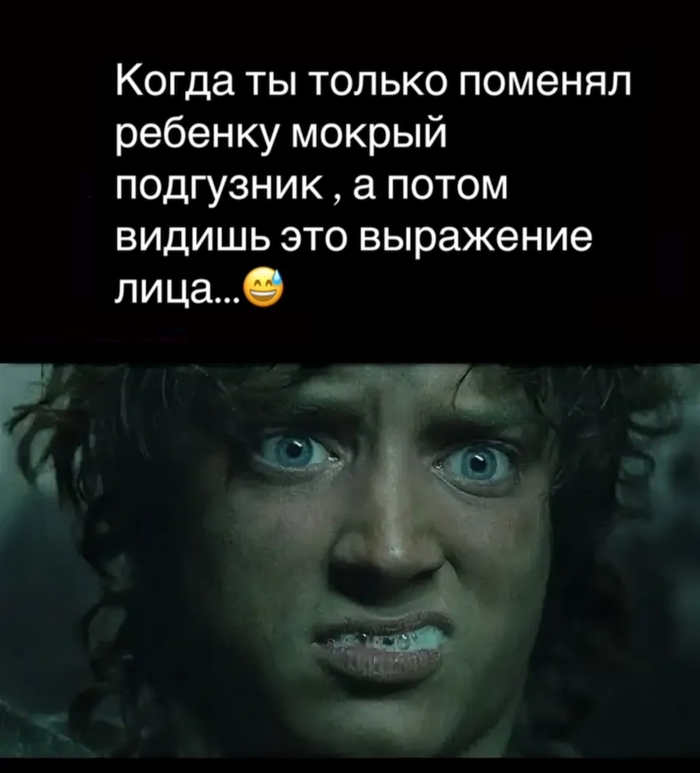    ,   , Telegram (),  ,  , ,  