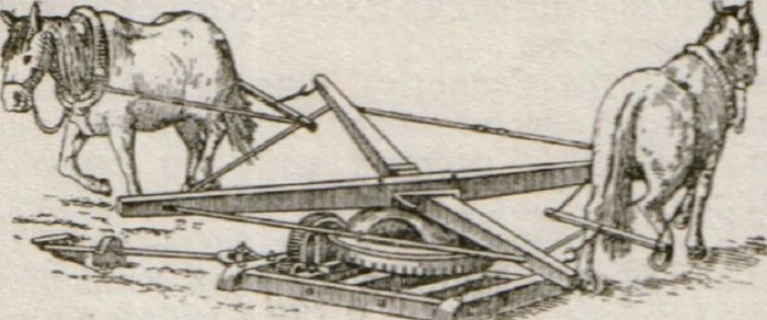          1917 .      , , , , , , , , , , , ,  , , ,  , , , 