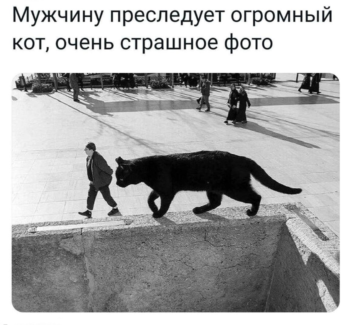 Чёрная Пантера