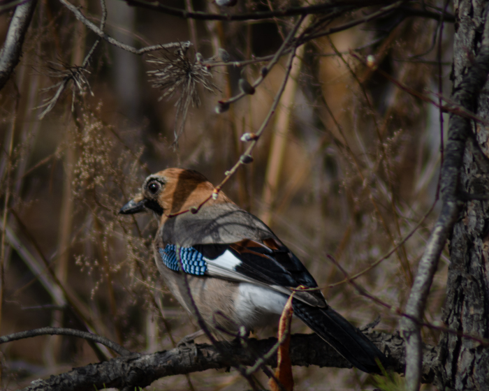 Настороженна☺️