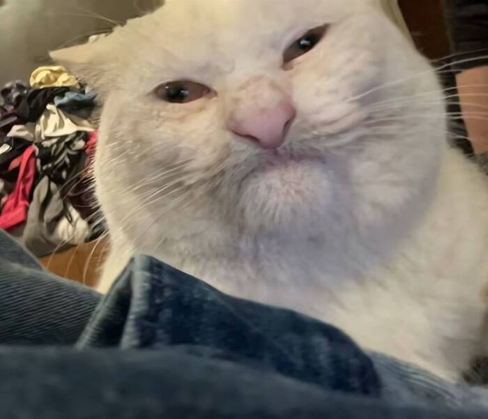   7   -   &quot; &quot;