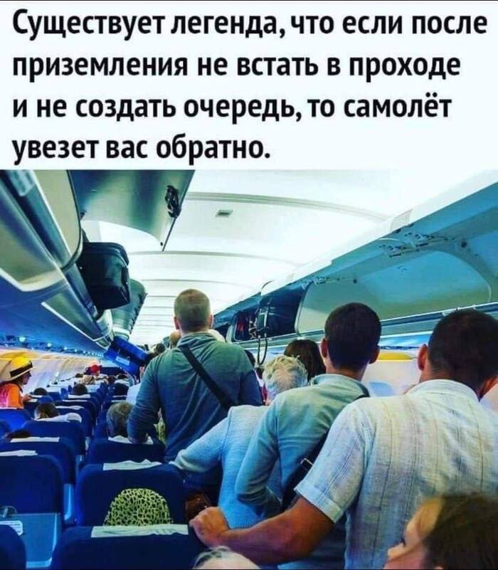     ! ,  ,  , Telegram (),   ,   , 