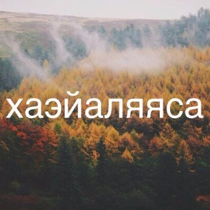   (  ) Metal, , 