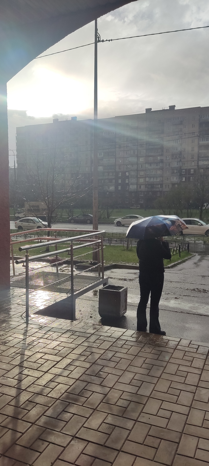 �������� �����