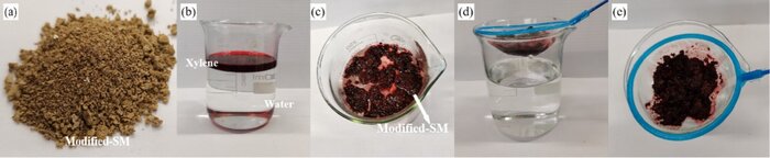       (modified-SM): ()     , ()      .