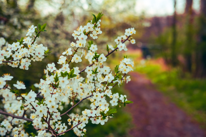 ������ �������� �����, �� ���� ������� �� ���� �� �����, �� ��� ��� �����, ������� �� ��������� 🫶 � ��� �������� ��������� ���������� <a href="https://pikabu.ru/story/krasivee_prirodyi_net_nichego_12637502?u=https%3A%2F%2Ft.me%2Fulizabettfoto&t=https%3A%2F%2Ft.me%2Fulizabettfoto&h=0f9e96470e24118870198fd2bbd2a826e092055e" title="https://t.me/ulizabettfoto" target="_blank" rel="nofollow noopener">https://t.me/ulizabettfoto</a>