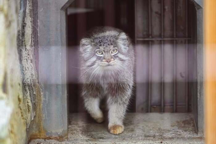 Автор фото <a href="https://pikabu.ru/story/vosem_imeninnikov_12638751?u=https%3A%2F%2Fwww.instagram.com%2Fp%2FCbxXJ8-Jqcr%2F%3Figsh%3DcWgxc2p3azhremZ2&t=zhilu%27s_photographer%20inst&h=c25b0a95daefa782064c431d7162b6f826d94ea2" title="https://www.instagram.com/p/CbxXJ8-Jqcr/?igsh=cWgxc2p3azhremZ2" target="_blank" rel="nofollow noopener">zhilu's_photographer inst</a>