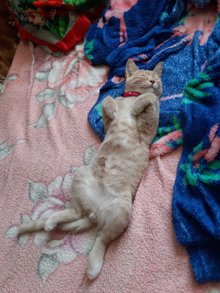 Сентябрь 2020г.