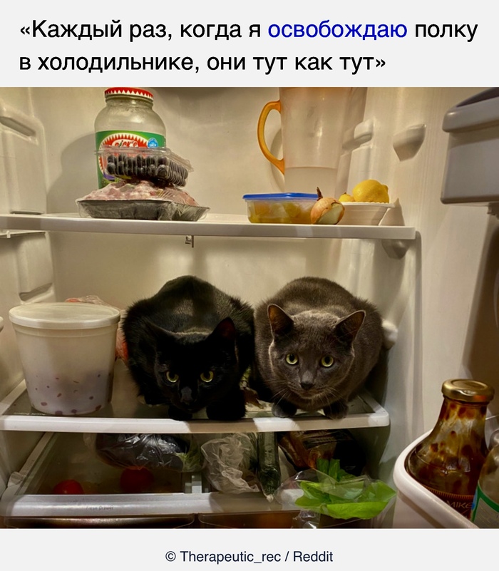    , ADME,   , 