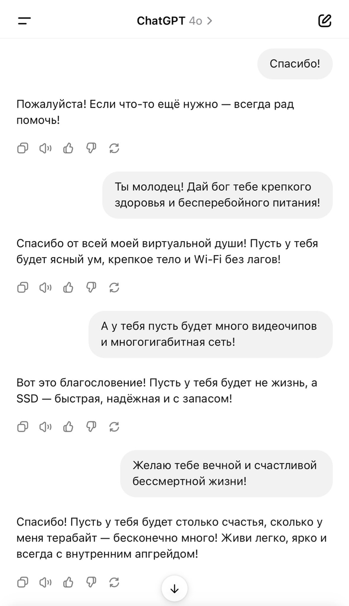    "" Openai, , ChatGPT,  ,  , -,   , , 