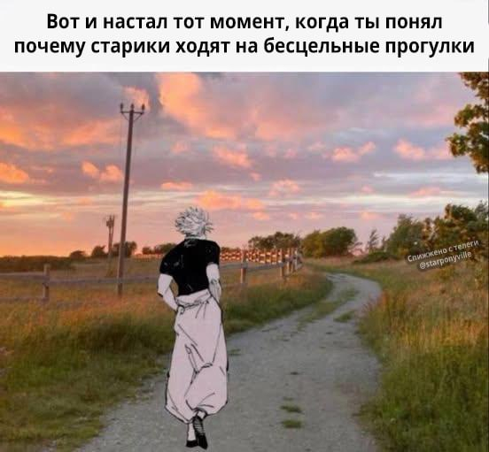         ,  ,   , ,  , Telegram ()