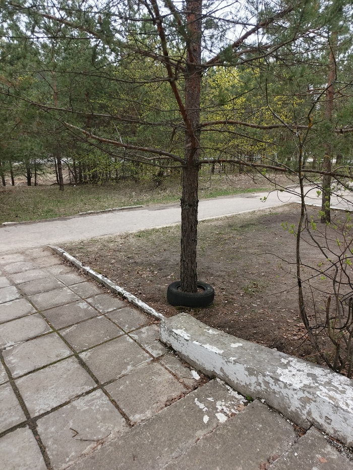     , , , , ,  