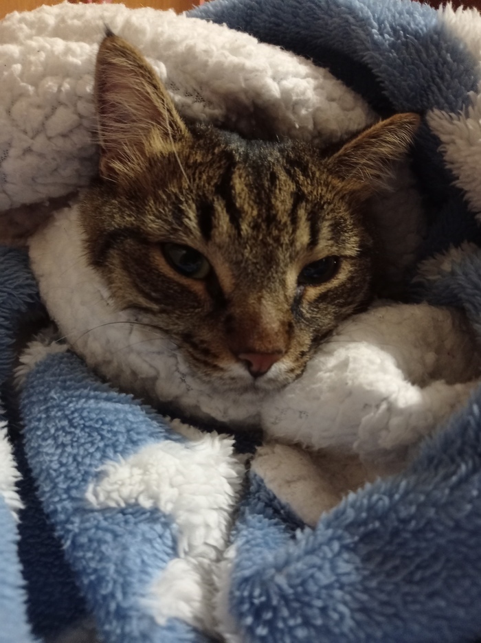 �� ���� ����,���� ��� ����