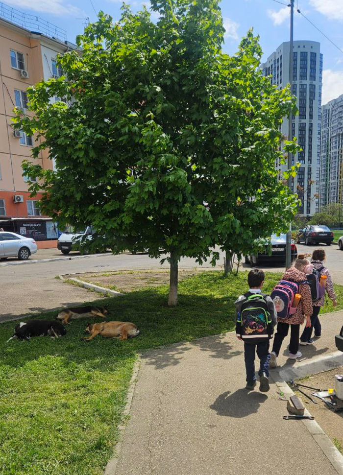 ������ ���� ��������� ���� �����, ����� ��� �� ������. ������. 