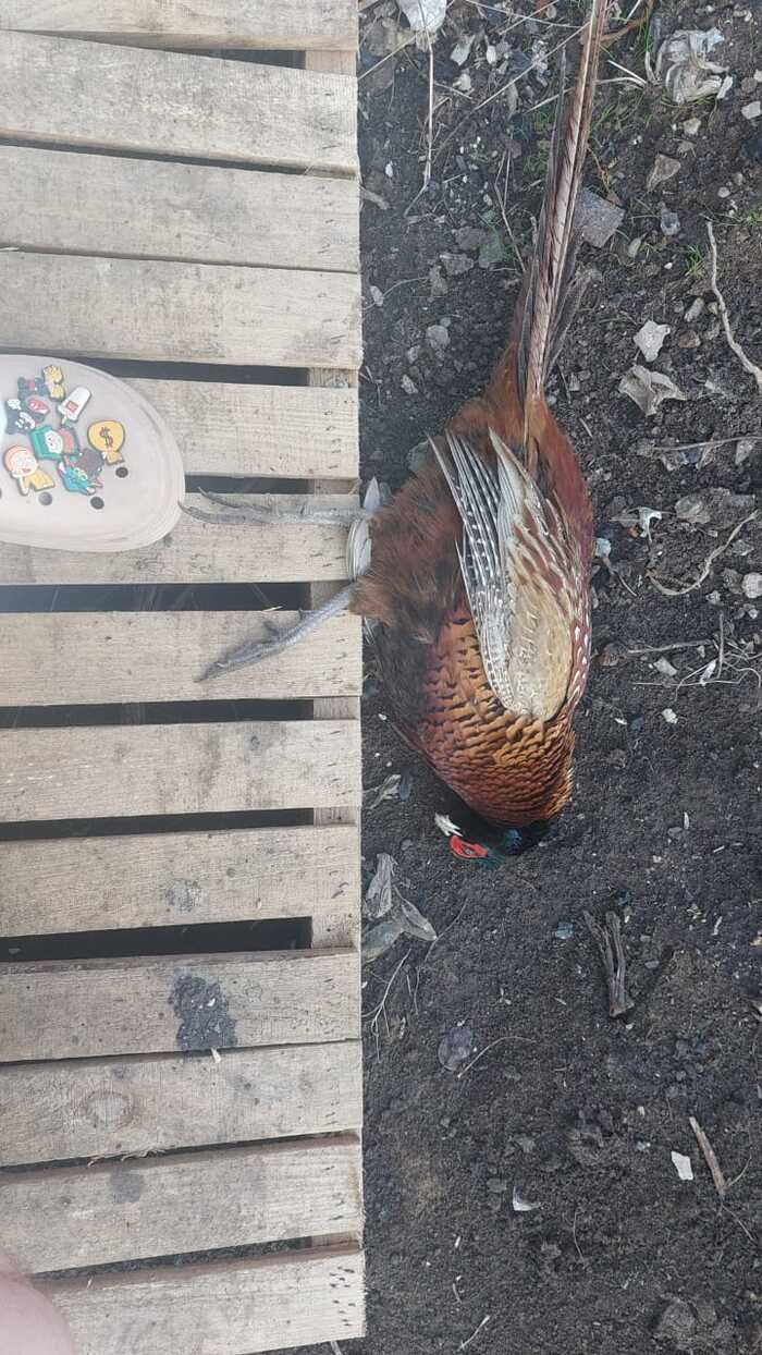    ! , ,  , ,  , 
