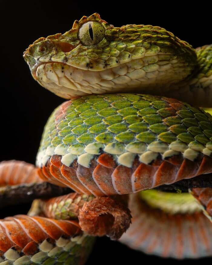    , , ,  ,  ,  ,  ,  , 