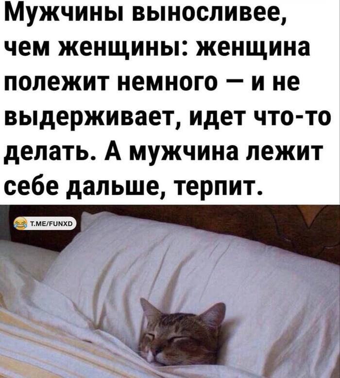 ��� � ����