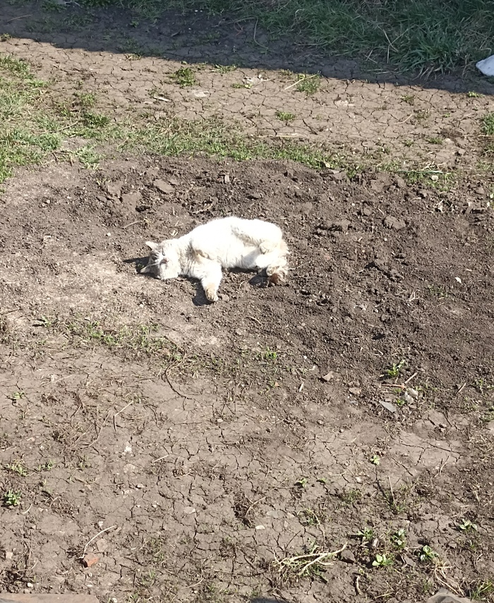 Внезапное выключение