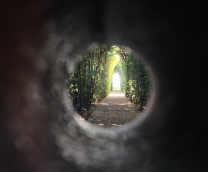 � ���� �� �����. ��������� �������