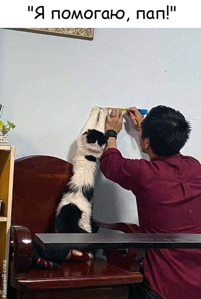   ,  ,  (),   , 