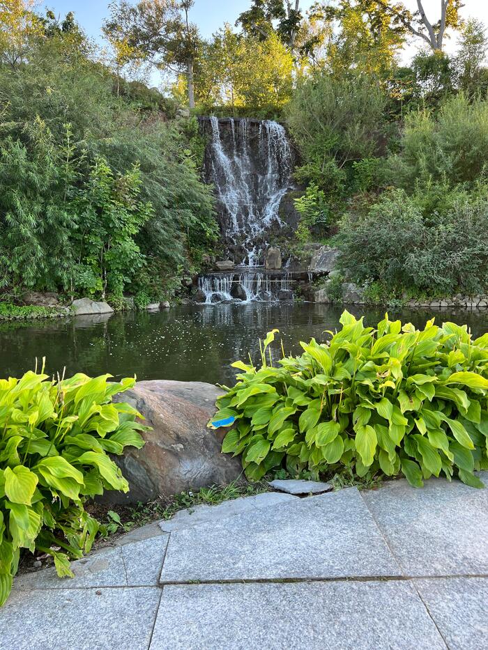 Да это Россия, детка