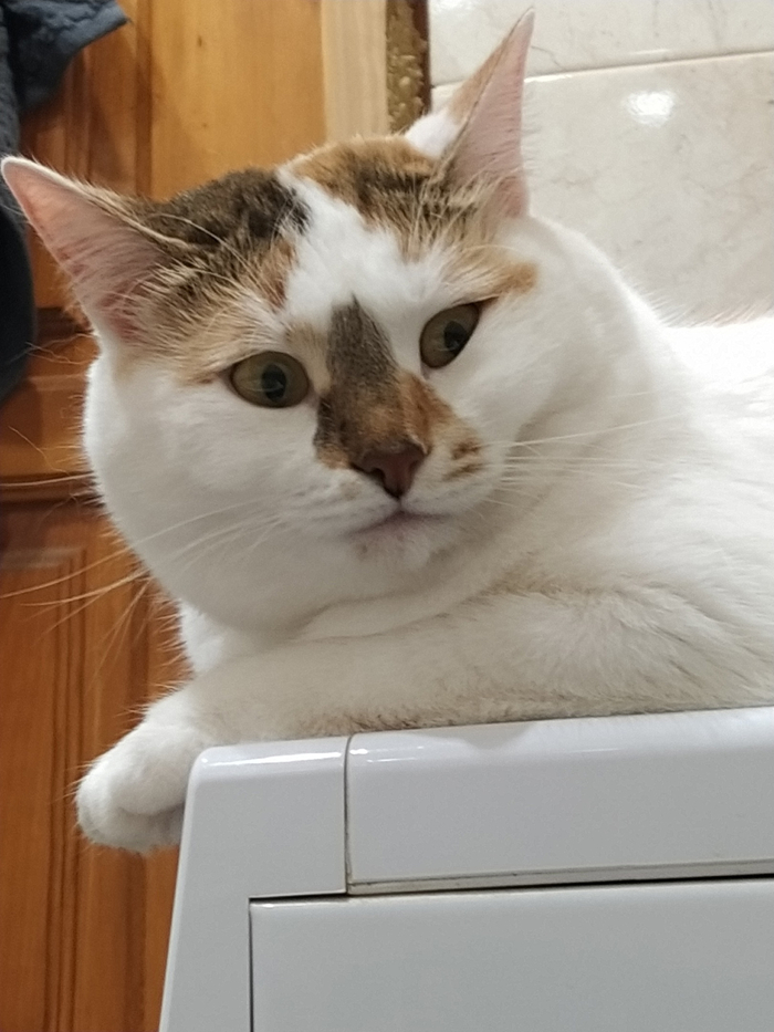     ,  ,   , , 