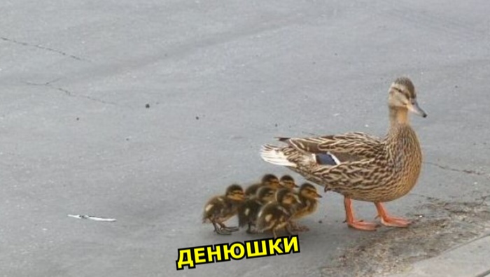    , 
