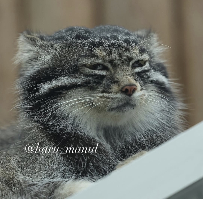 ����� ��� ���� ����� � �������...