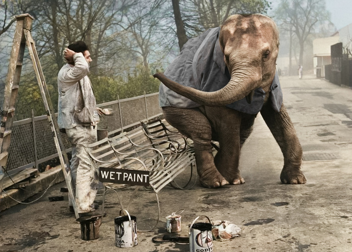 ��������: ������ ���������