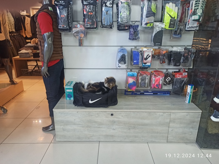    , , , , , 