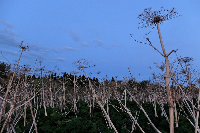         .  ,        .      !