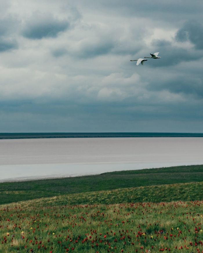 Фотография сделана в Ростовском заповеднике