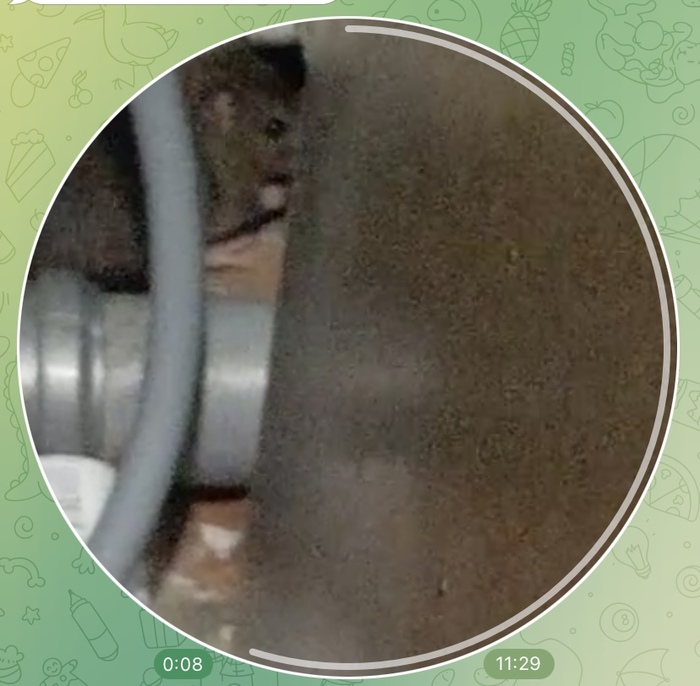 Это скрин из видео в начале апреля, где большой бородатый дядька спрашивает «Всё у тебя нормально?..», а она смотрит и не планирует что-то менять