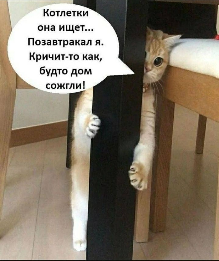  ,   , , 