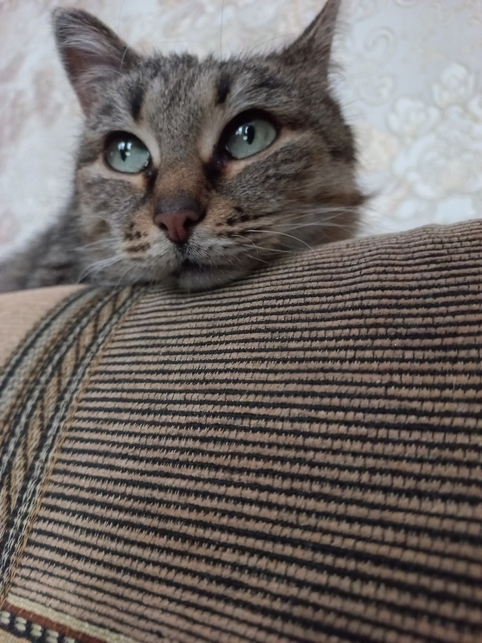   , ,  , , ,  ,  , 