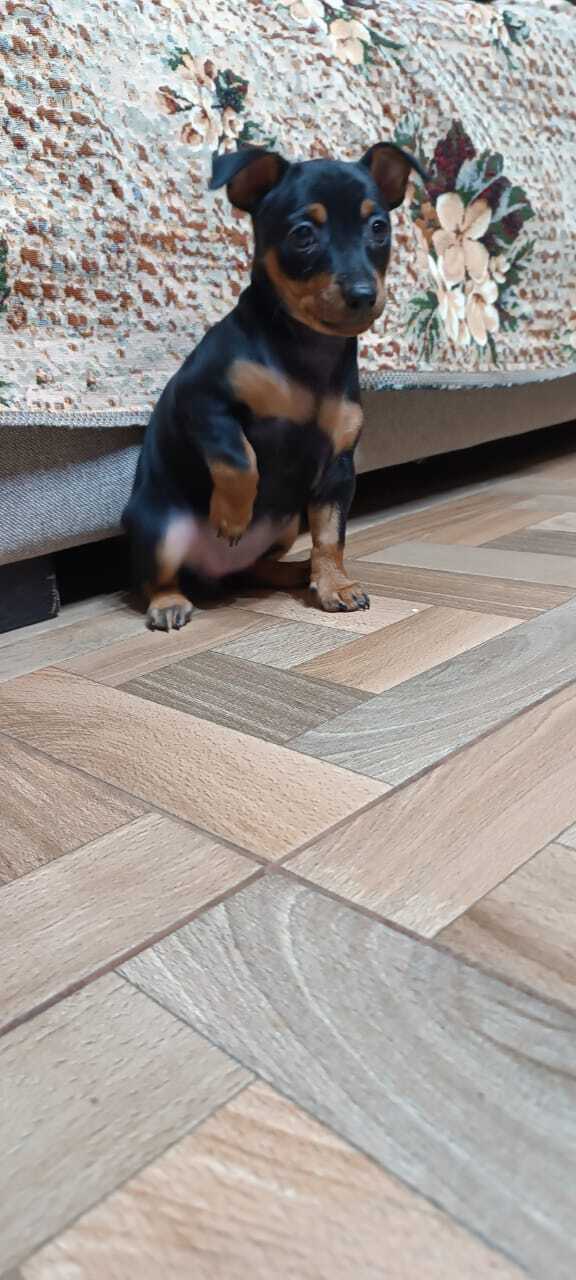     ? , , 