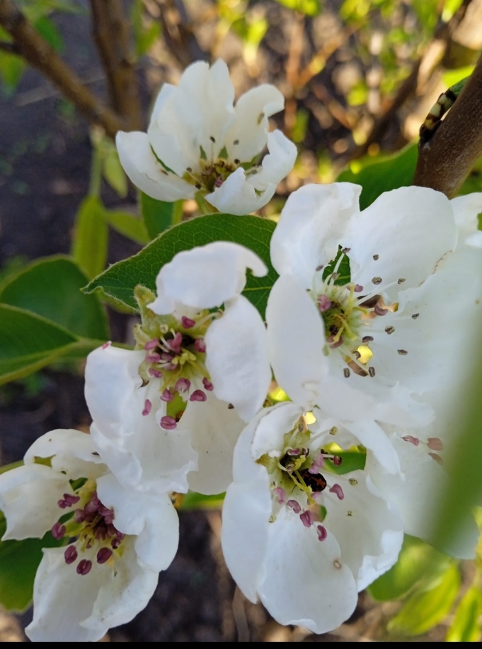 �������� �����