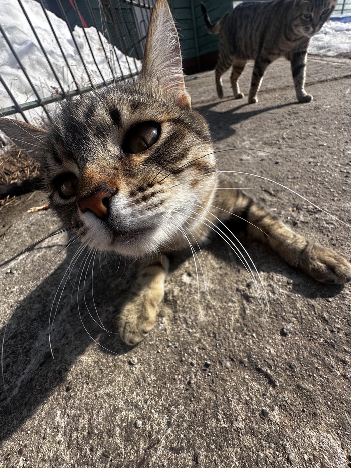 ���� � ����������� ���� �� ����