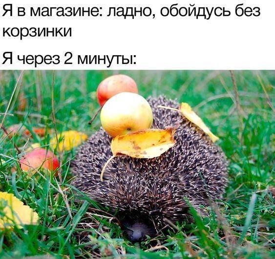     , , , , Telegram ()