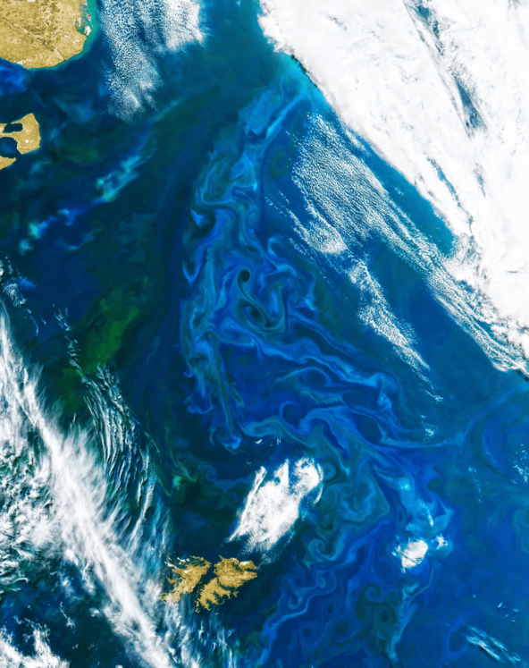 Океанская турбулентность во время цветения водорослей у восточного побережья Аргентины.