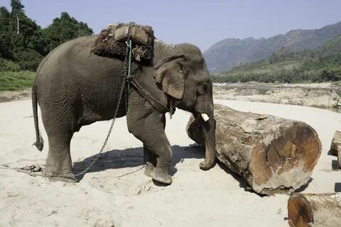  IPC      PostgreSQL , Postgresql, , , ,   ()