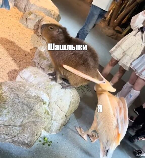 Планы на ближайшее время