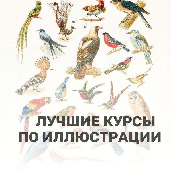Лучшие курсы по иллюстрации