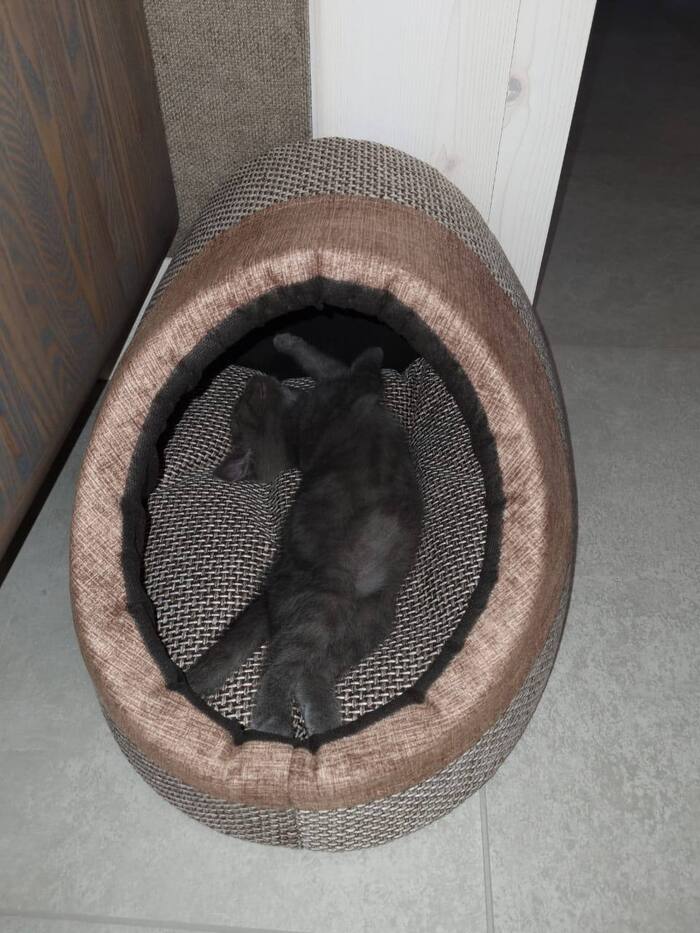     ,    , ,  , , ,  , ,  ,  , 