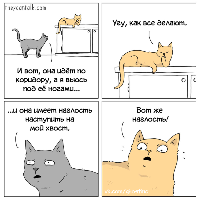  ,  , Theycantalk, 