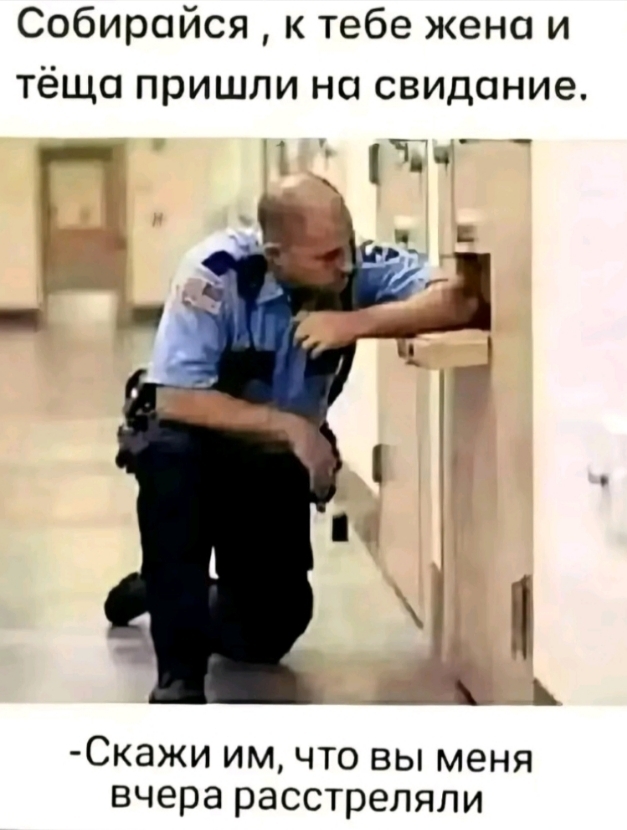     ,  , , , , , 