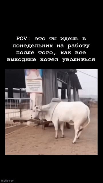  !...