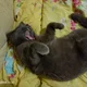 ����� ����� ������ ���� �����������